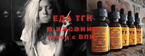 стаф Арсеньев